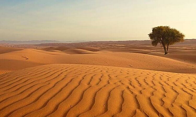 Industry Q&A: Andrew Carroll of Exotic Voyages