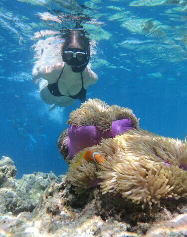 TROPICAL PARADISE: INDONESIA - THAILAND