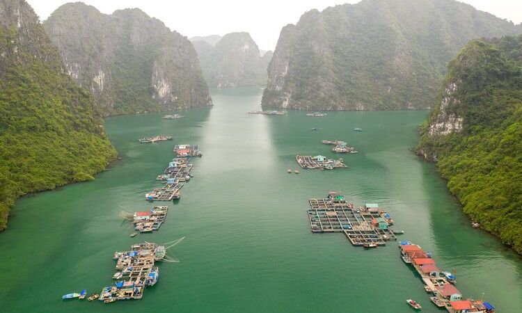 Hanoi, Mai Chau, Halong Bay and Da Nang