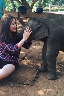 Thuy and elephants
