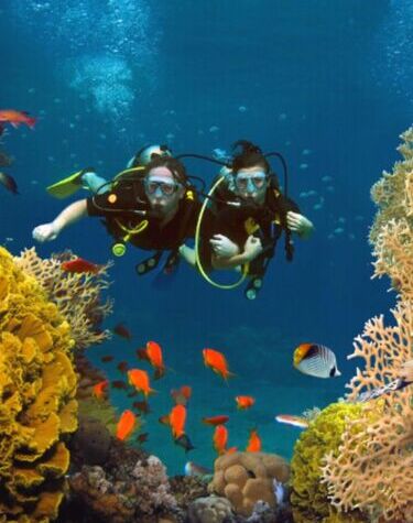 INDONESIEN STILVOLLE KREUZFAHRT: UNTERWASSER-WUNDERLAND