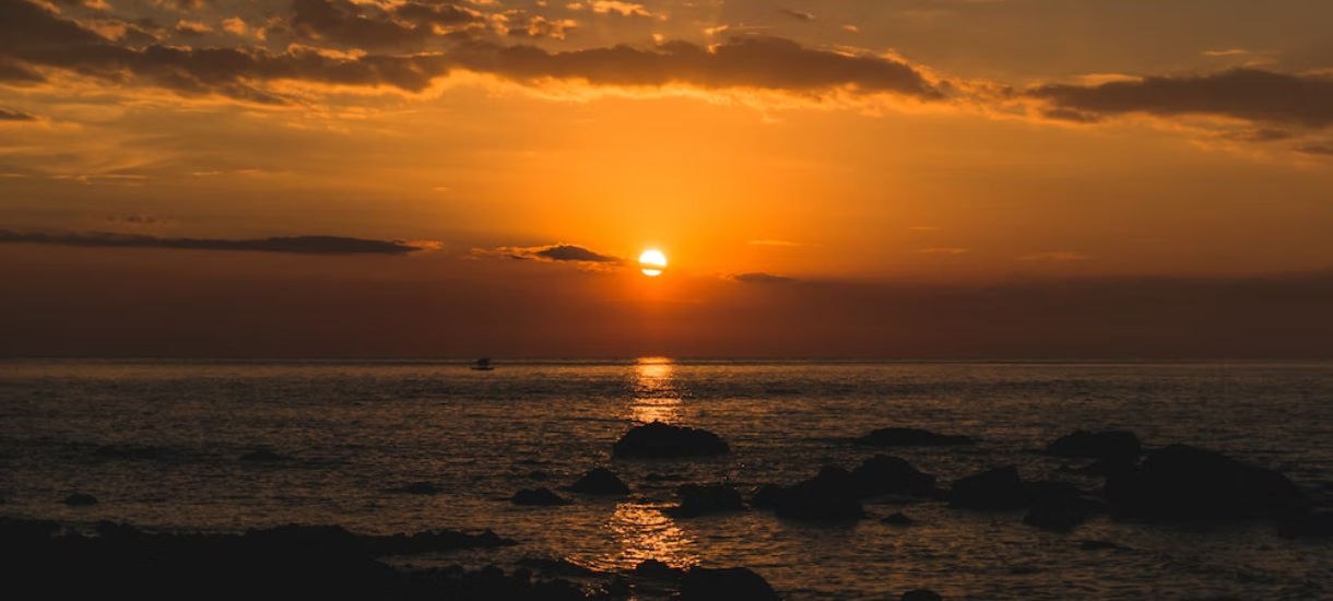 silhouette of people on beach during sunset